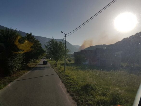 Фото: Ненад Марић