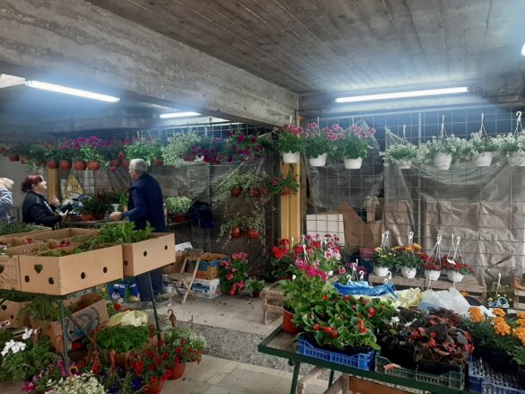 Фото: Дрина инфо