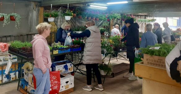 Фото: Дрина инфо