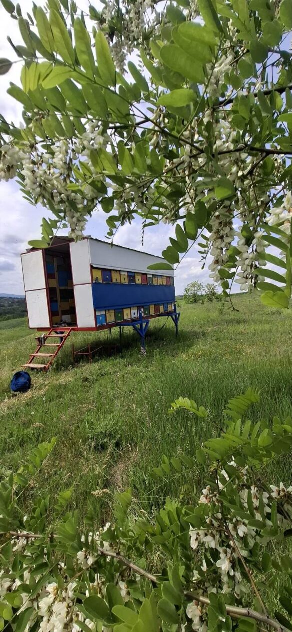 Фото: Дрина инфо