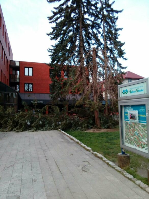 Фото: Дрина Инфо