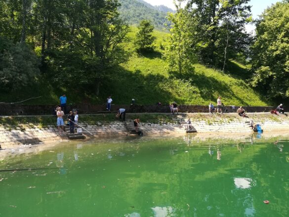 Фото: Дрина Инфо