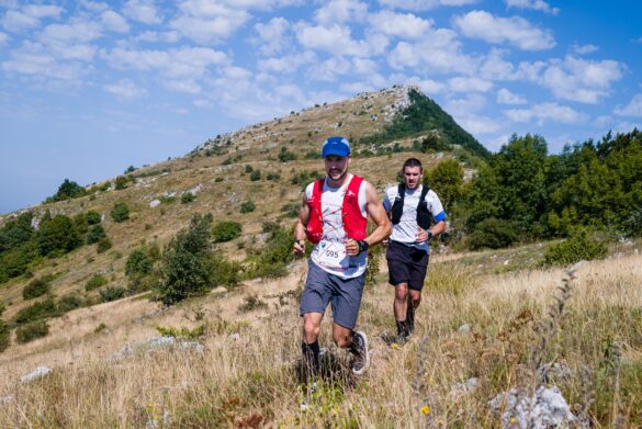 Фото: ПК Тара