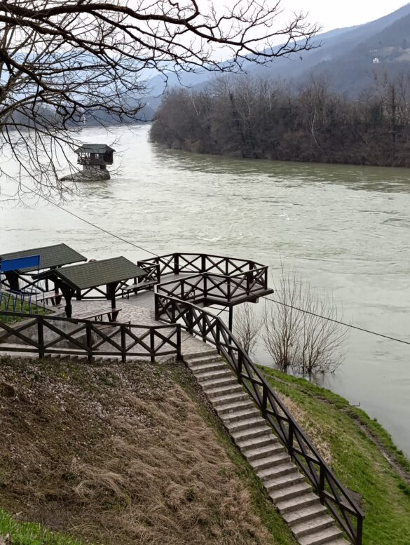 Фото: Тара Дрина