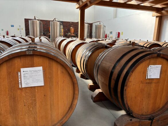 Фото: Дрина инфо