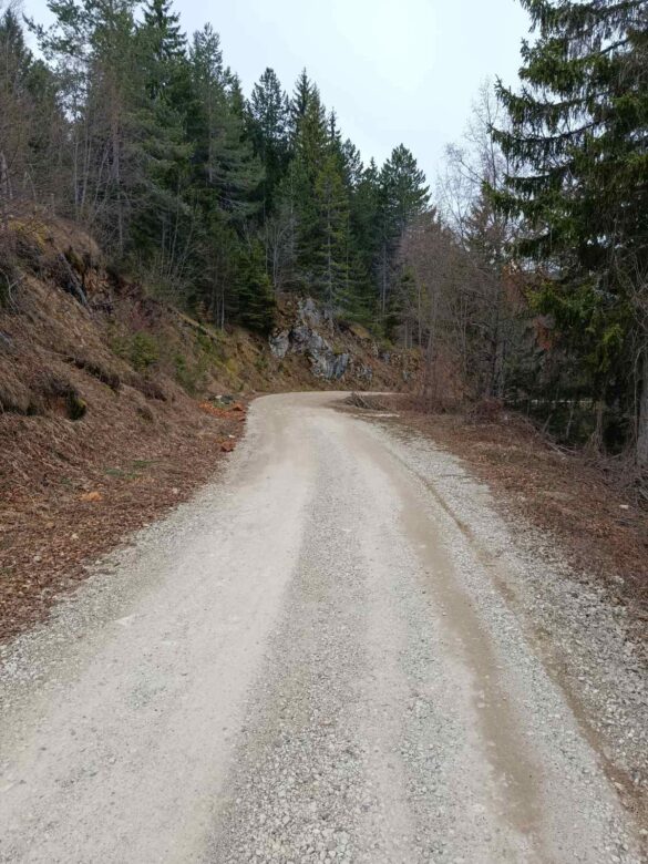 Фото: Дрина.инфо