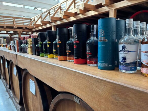 Фото: Дрина инфо