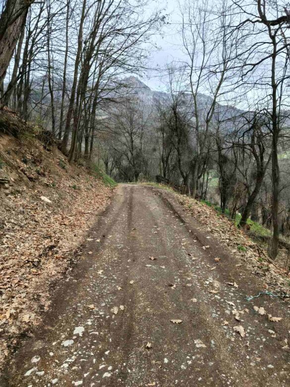 Овчиња/Дрина инфо
