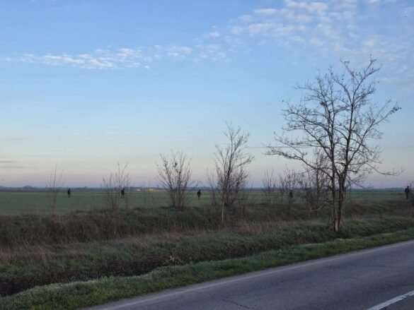 Фото: Новости