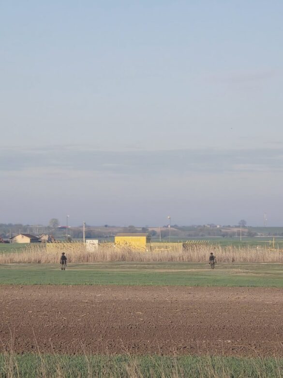 Фото: Новости