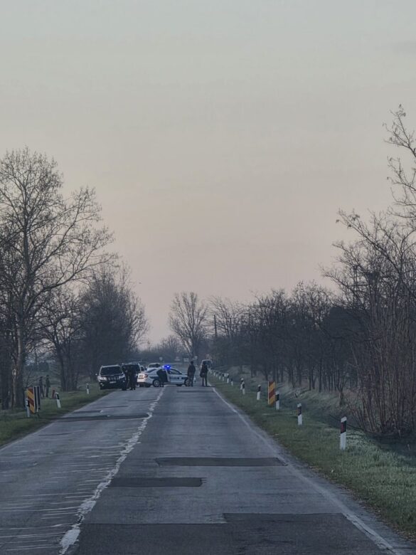 Фото: Новости