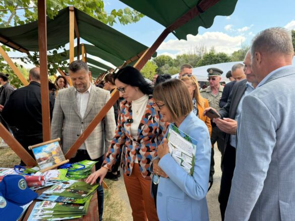 Фото: Дрина инфо
