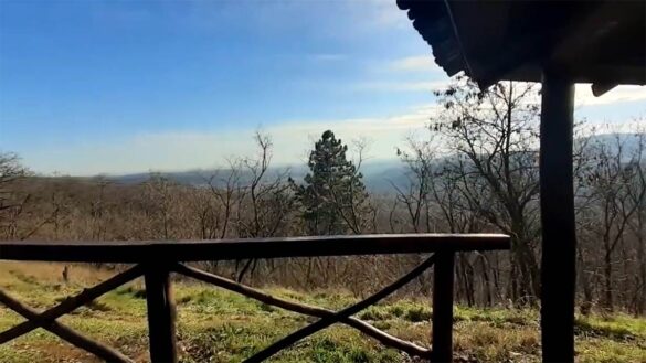 Фото: Принтскрин, Ју Тјубе Арсеније путовања
